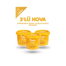 Freeze Dried Mango Kova 3 Lü Paket Diğer