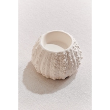 Pasabahce Deniz Kestanesı Porselen Tealight Mumluk Beyaz - 1 Adet