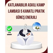Çok Renkli