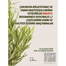 Çukurova Bölgesi Kıraç ve  Taban Arazi Koşullarında Yetiştirilen Biberiye-Rosmarinus Officinalis L. - Menşure Özgüven - Gece Akademi