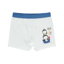 Civil Baby Erkek Bebek Boxer 9-18 Ay Beyaz D2330559423w1 Beyaz