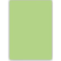Bigpoint Fon Kartonu 50x70cm 160 Gram Uçuk Yeşil 100'lü Paket