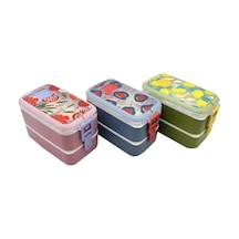 Vagon Life Beslenme Kutusu Paslanmaz Çelik Lunchbox 700 Ml Vgn-6748 Çok Renkli