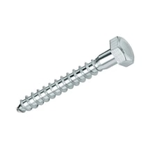 Çankaya Trifon Vida Adetli Ölçülü M10x80 10 Adet 1