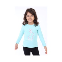Mint Yeşili