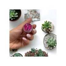 Glitter Far Jel Far Pembe - 573012726 Diğer