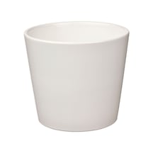 Sojaböna Toprak Saksı, Beyaz 88490278