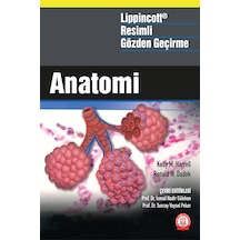 Lippincott Anatomi Resimli Gözden Geçirme