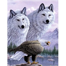 3 Boyutlu Resim Kartallı Kurt Resmi Tablosu 40x60 Cm 2e94f
