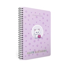 Gıpta Kıtty Cat Sp.plastik Kapak Defter A4 80 Kareli