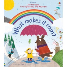 Lift-the-flap First Questions And Answers What Makes İt Rain