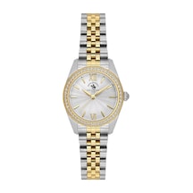 Santa Barbara Polo Racquet Club Sb.1.10687-3 Gold - Gri