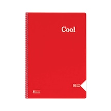 Keskin 321630-99 A4 96yp Düz Cool Spr Pp Kpk Def Çok Renkli