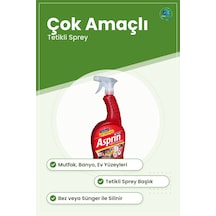 Yüzey Temizleyici Çok Amaçlı Genel Temizlik Sıvısı Sprey Mutfak B Tekli