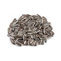 Gaziantep Pazarı Dakota Çekirdeği 500 G