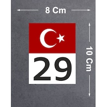 10X8 Cm