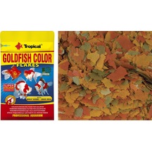 Tropical Goldfish Colour 12G