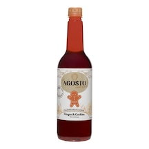 Zencefil & Kurabiye Ginger & Cookies Aromalı Kahve Şurubu-750 Ml Diğer