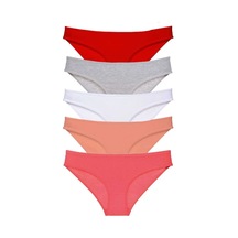 5 Adet Süper Eko Set Likralı Kadın Slip Külot 519 Mudanis Diğer