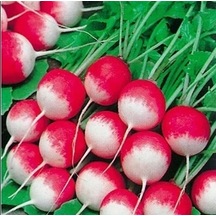 Kırmızı Beyaz Fındık Turp Tohumu 25+ Tohum N115450