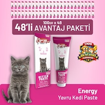 Yavru Kedi Paste 100 G - 48 Adet