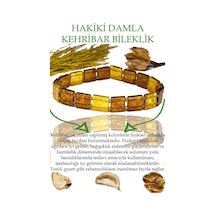 Çok Renkli