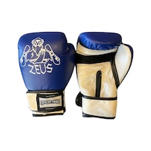Sportıng Zeus Boks Eldiveni Renkli