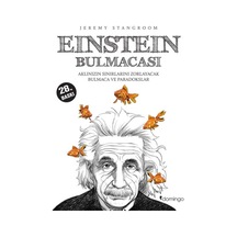 Einstein Bulmacası Aklınızın Sınırlarını Zorlayacak Bulmaca Ve Paradokslar