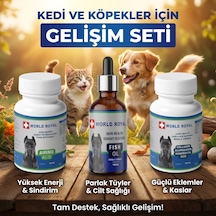 Köpek Collojen Msm Amino Fish Oil