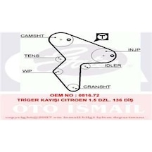 GATES 5418XS TRIGER EKSANTRIK KAYISI SAXO 1.5D 136x254