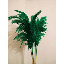8'li Büyük Demet Pampas Zümrüt Yeşil 100cm Boyunda