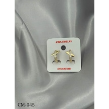 Küpe Metal Zarif Hediye Model Bd481c Çok Renkli