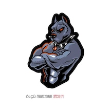Motorsiklet Otomobil Sticker 2 Adet 167