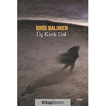 Kitapstore Üç Kırık Dal - Idris Baluken