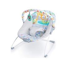 Bright Starts Bebek Salıncağı, Rahatlatıcı Titreşimli Bebek Ana Kucağı