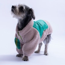Bej Bergen Outdoor Ceket Kedi Köpek Ceketi Kalın Fermuarlı Kedi Köpek Kıyafeti Kedi Köpek Elbisesi
