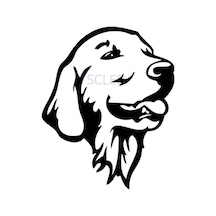 Golden Retriever Köpek Araba Çıkartmalar Sticker