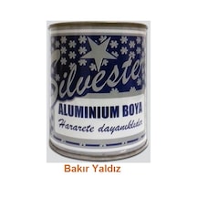 Darsa Silvester Bakır Yaldız Boya 1/10 0,07lt