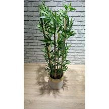 120 Cm Darbuka Saksıda Bambu 6 Dal Yeşil