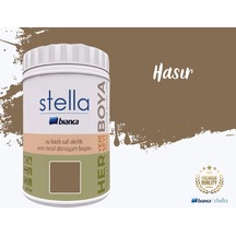 Stella Su Bazlı Saf Akrilik Boya 1 Litre Diğer