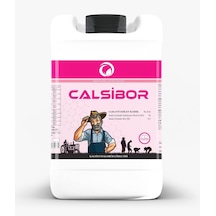 1 L