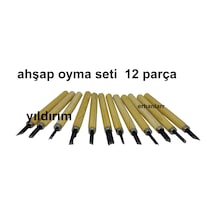 Ağaç Oyma Ahşap Hobi İşleri Yapma Aparatları 12p