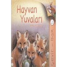 Çevir Bak Hayvan Yuvaları  - Simon Mendez  -  Judy Allen  - Tübitak Yayınları