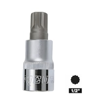 Rıco 1/2 M8 Lokmalı Bits Uç Kısa 58 Mm