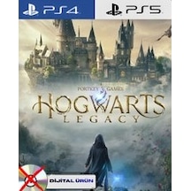 Hogwarts Legacy Deluxe Playstation 4-5 Uyumlu Dijital