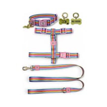 Tr Köpek Tasma Seti, Gökkuşağı Renkli, Polyester, H Tipi Gövde Tasması, Boyun Tasması, Gezdirme Kayışı Ve Ki Genel