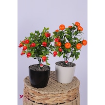 Yapay Çiçek Sitesi Plastik Saksıda Yapay Mini Nar & Mandalina Tanzimi 2 Li Set 33 Cm Çok Renkli