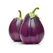 Italyan Floransa Patlıcan Tohumu