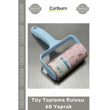 Çok Renkli