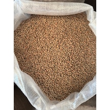 Bernami Vazo Pinterest Yeşil Köy Mercimeği 1 Kg Diğer